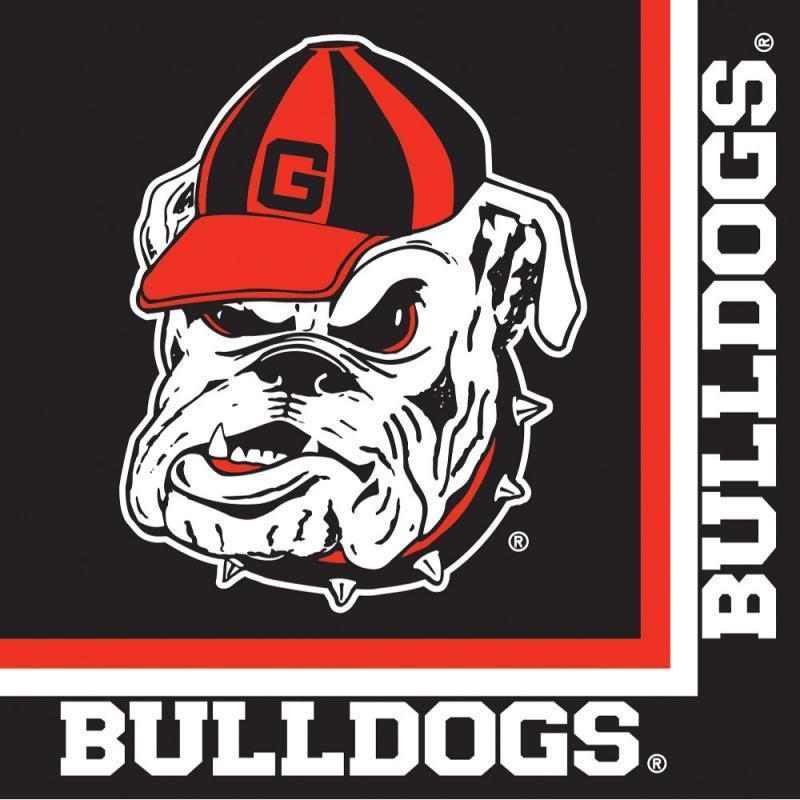 Georgia Bulldogs Party Decorations