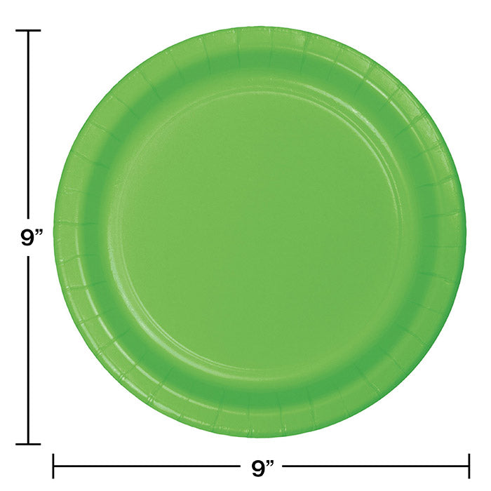 Bulk 240ct Fresh Lime Sturdy Style 8.75 inch Dinner Plates 